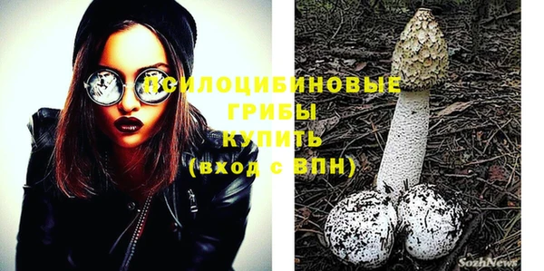 spice Медвежьегорск