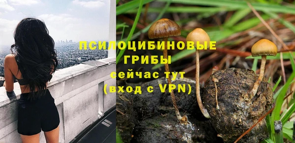 ГАЛЛЮЦИНОГЕННЫЕ ГРИБЫ Медногорск