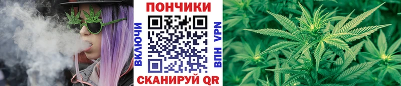 Купить закладки  Новотроицк  Канабис индика 